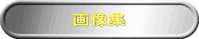 �摜�W 